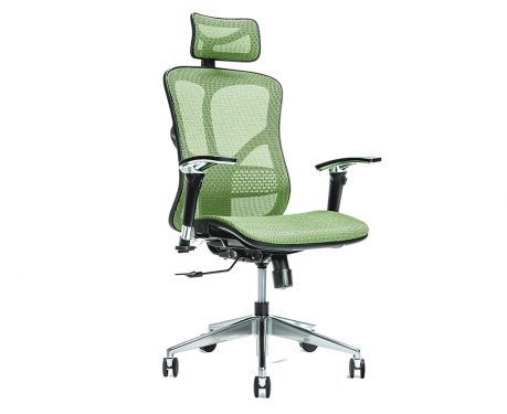 Ergonomischer Bürosessel ERGO 500 Grün