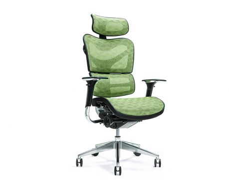 Ergonomischer Bürosessel ERGO 700 Grün