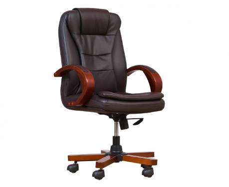 Ledersessel ELECTA Braun