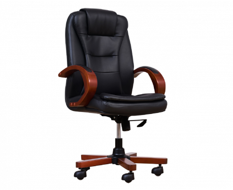Ledersessel ELECTA Schwarz